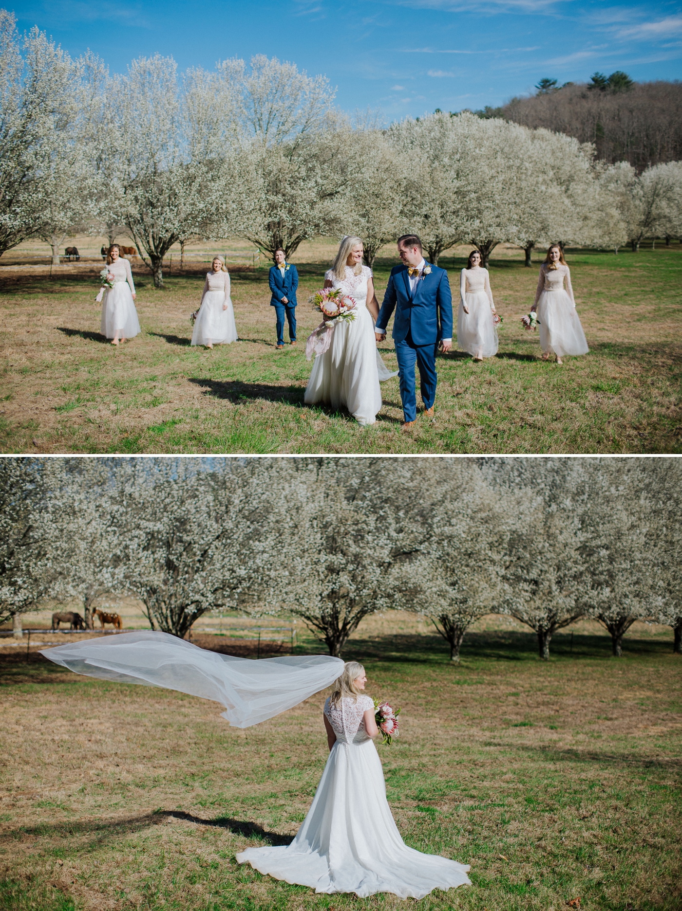 Backyard spring wedding ceremony outside of Atlanta, Georgia | Izzy and Co.
