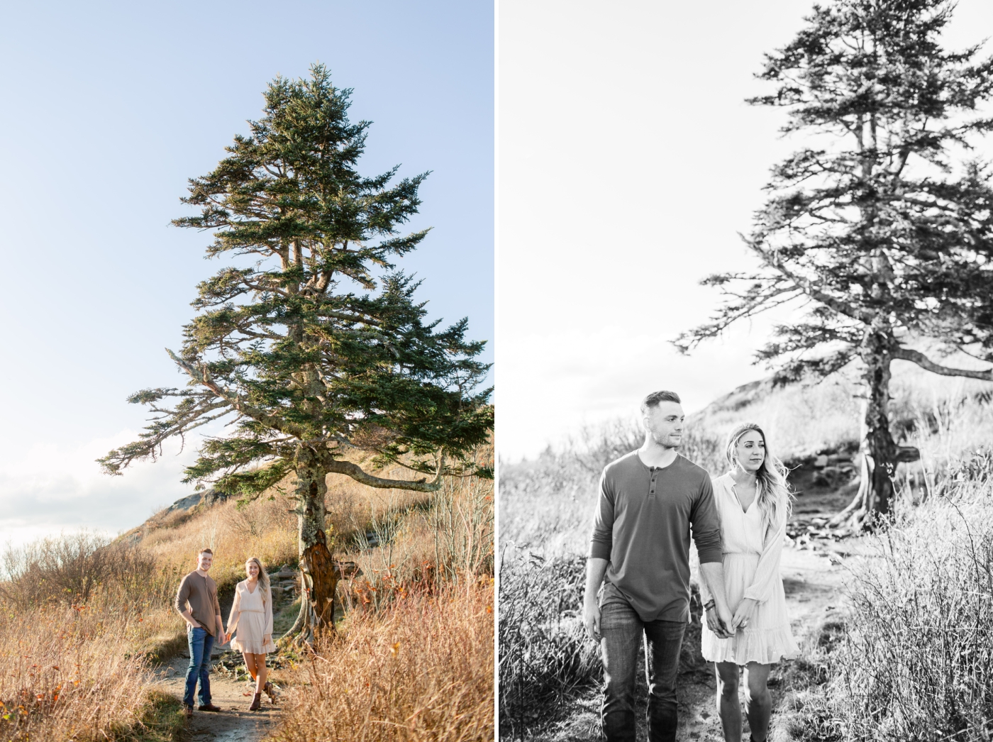 Pisgah National Forest engagement session