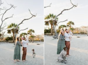 Sunset family session on Driftwood Beach