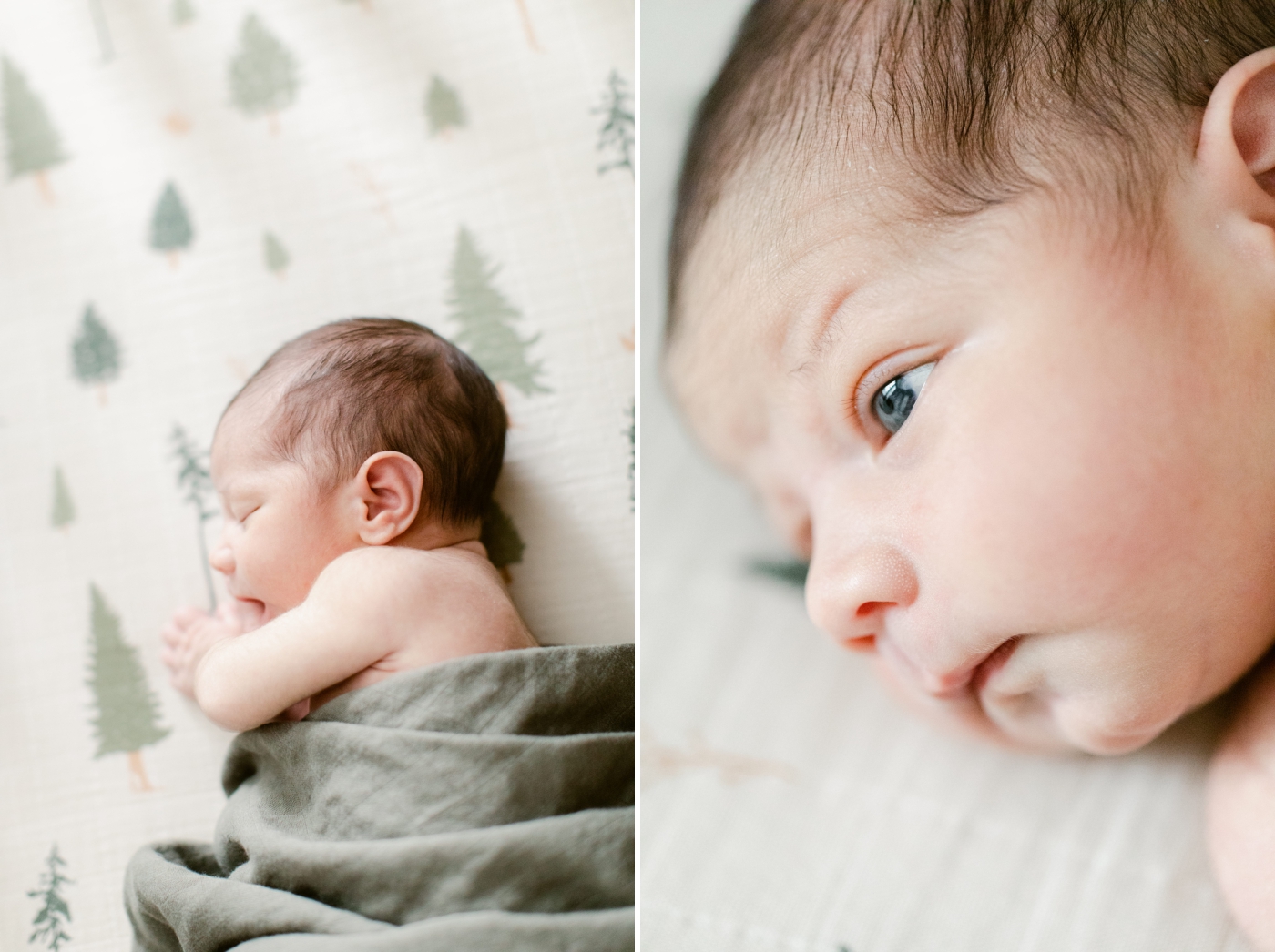 Savannah newborn photography