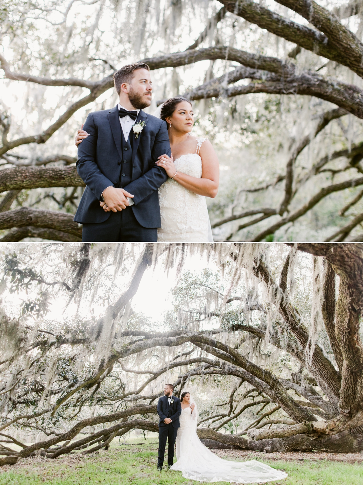 bride and groom portrait under large trees in Savannah