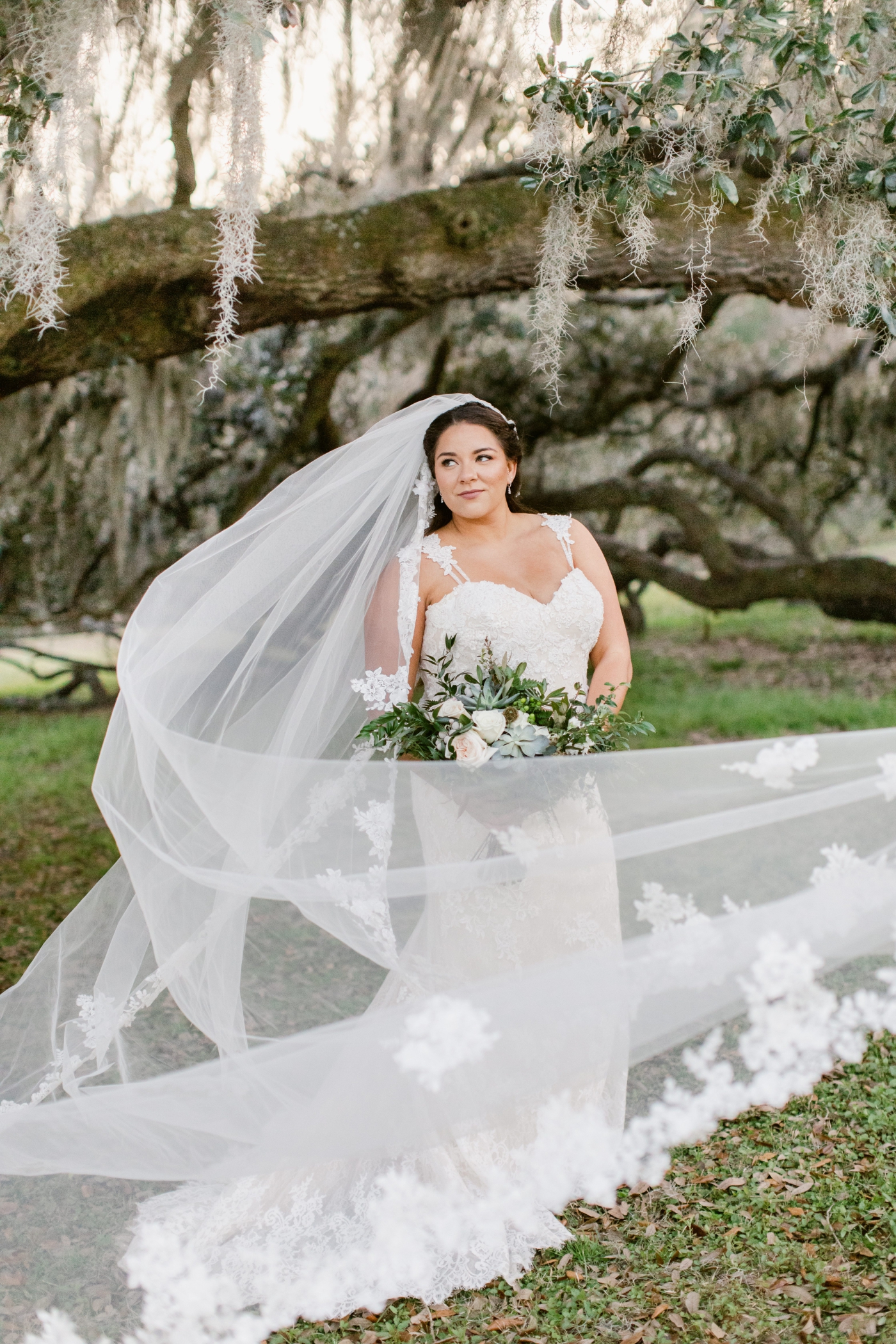 bride in lace cathedral veil