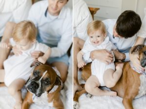 in home newborn session with dog