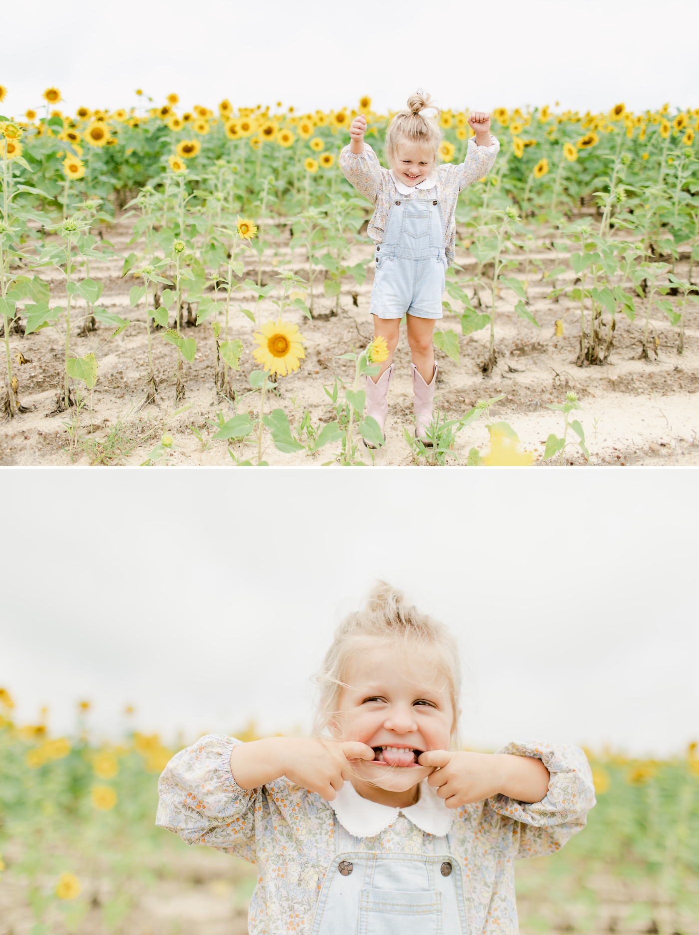 sunflower field family session