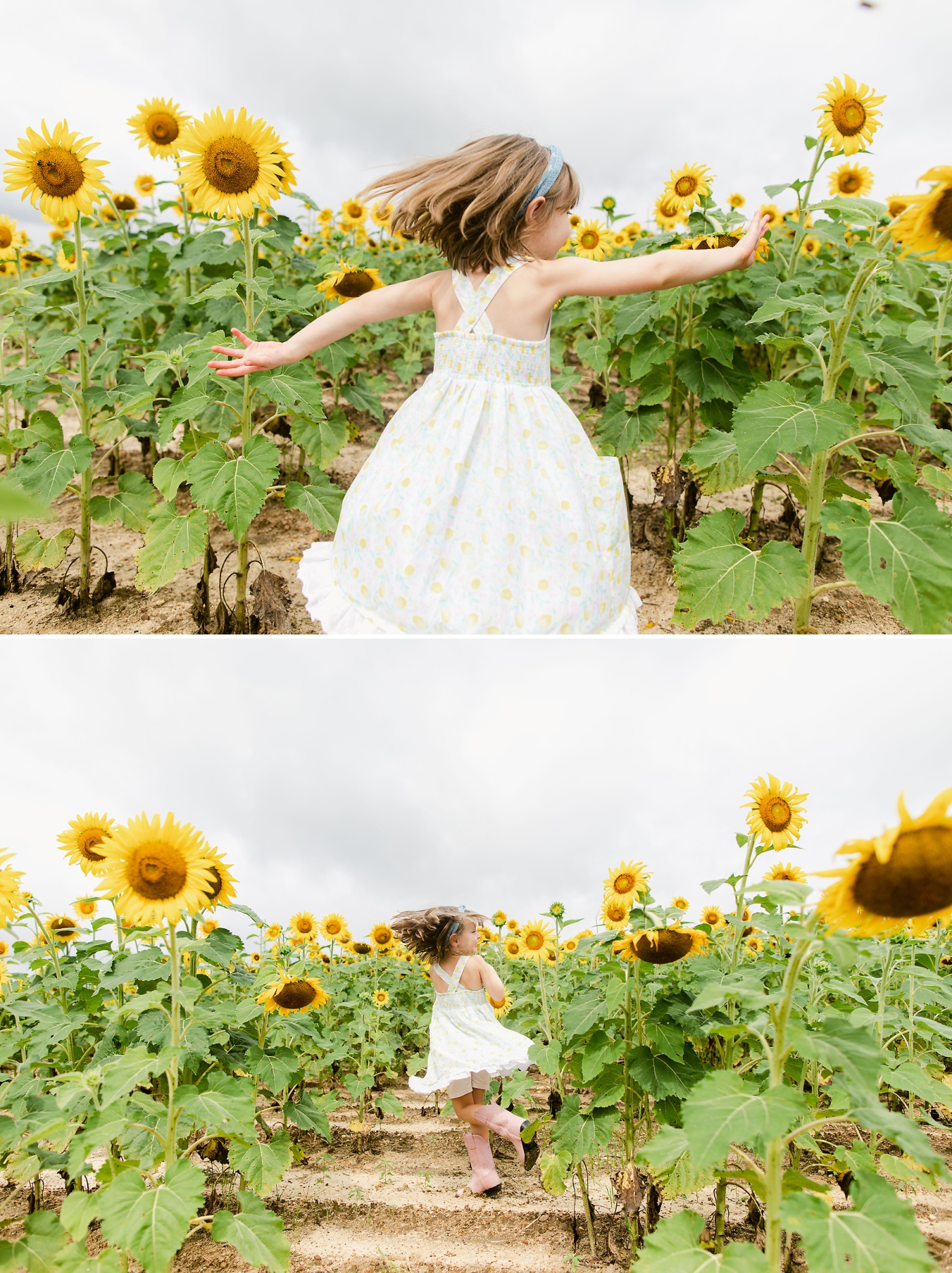 sunflower field family session